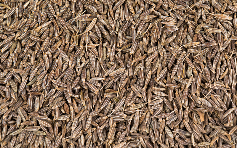 Unjha Psyllium