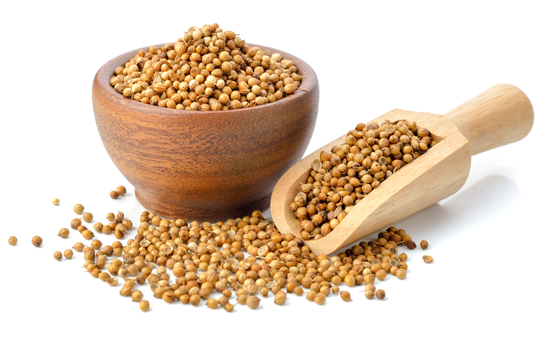 Unjha Psyllium