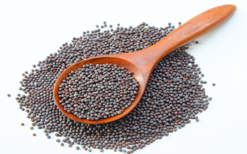 Unjha Psyllium